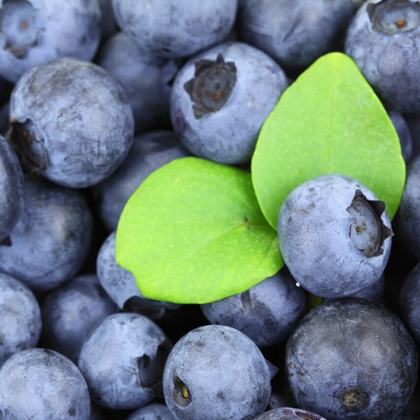 blue berries